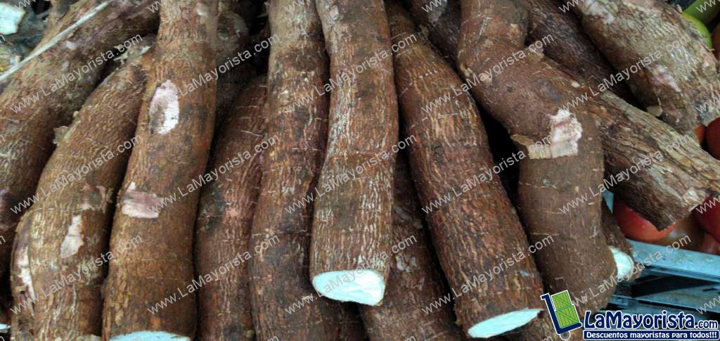Yuca
