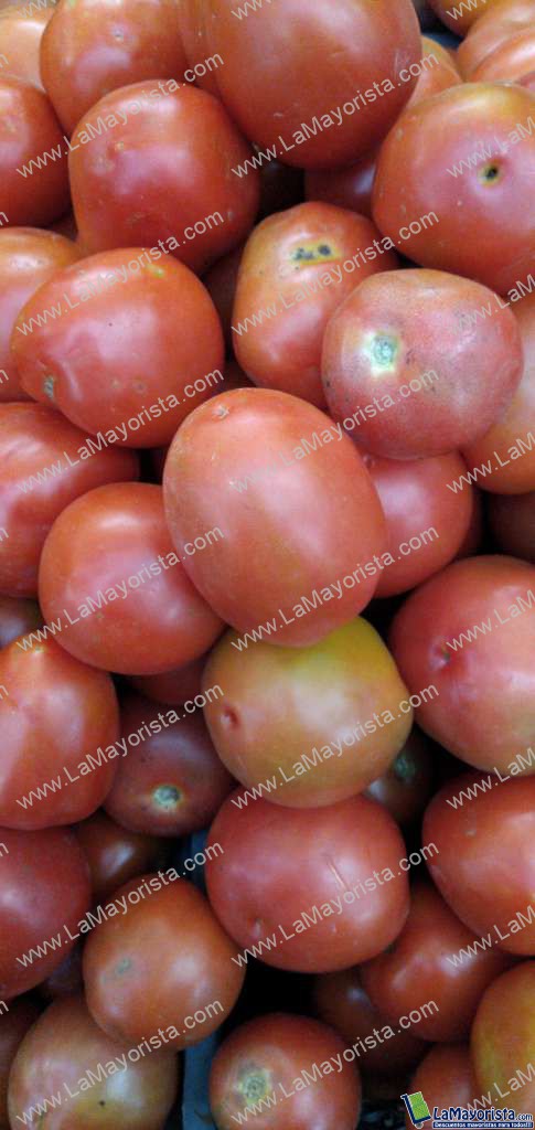 Tomate de aliño