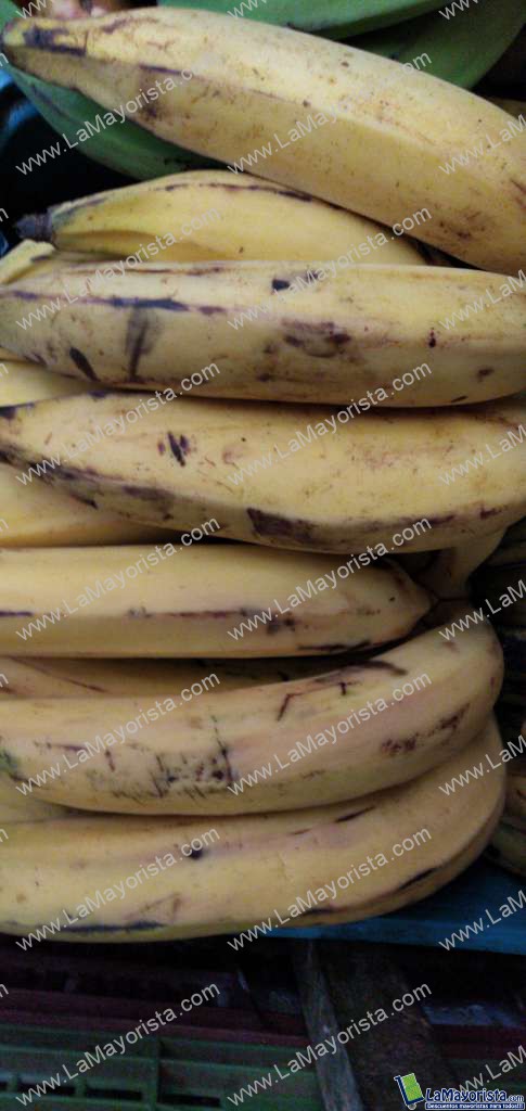 Platano maduro