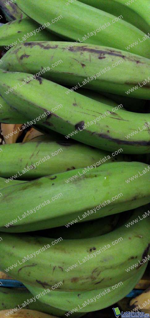 Platano verde