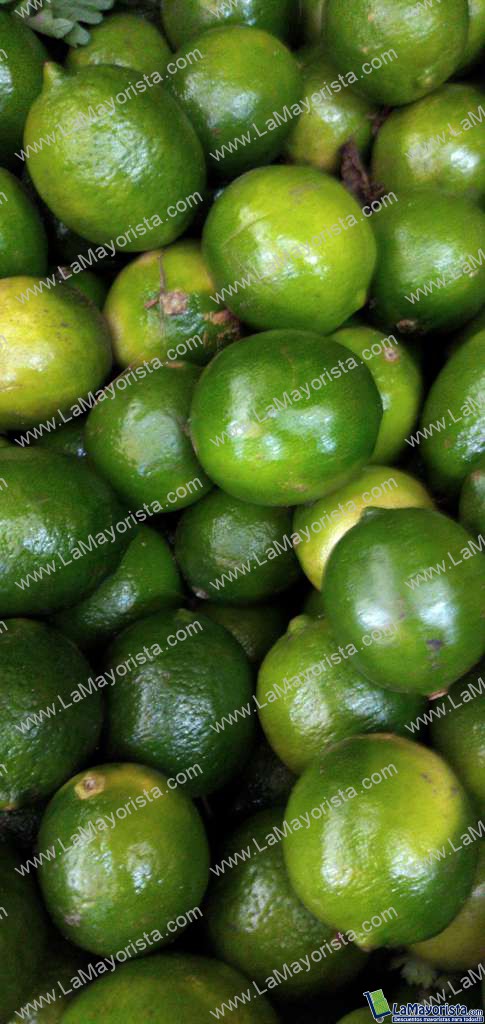 Limon tahiti