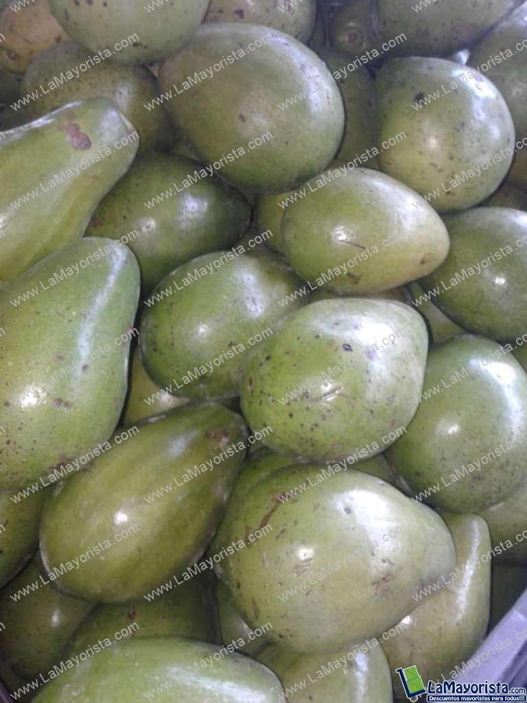 Aguacate Lorena