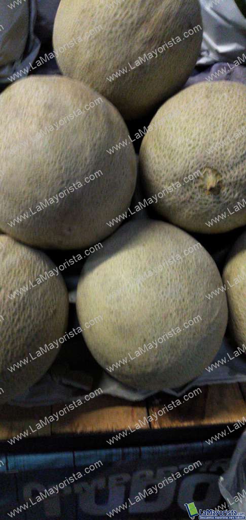 Melon