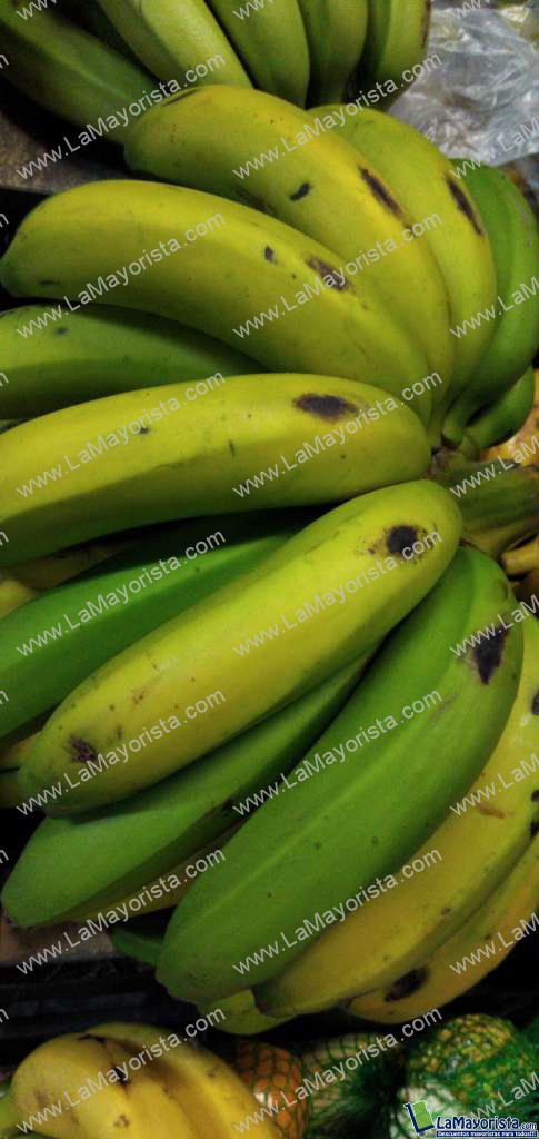 Banano criollo