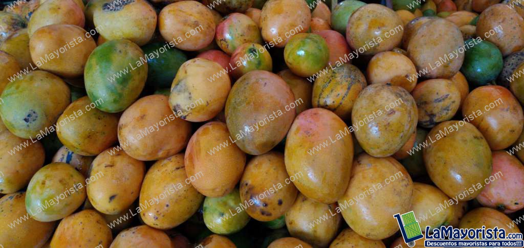 Mango criollo