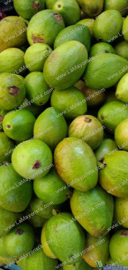 Guayaba pera