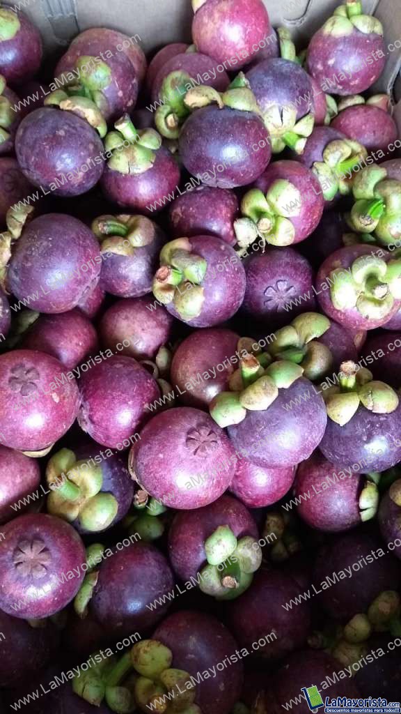 Mangostino
