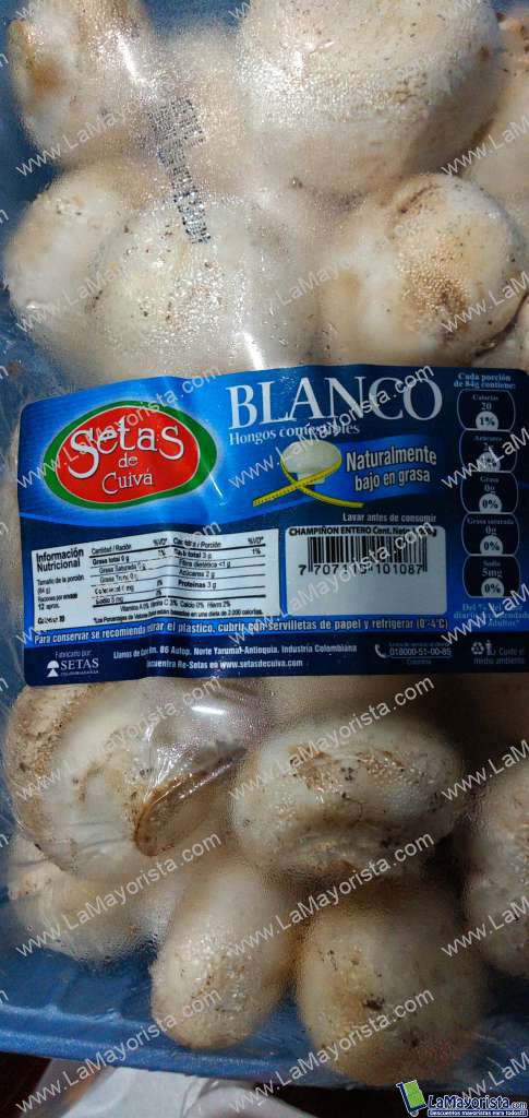Champiñón bandeja x kilo