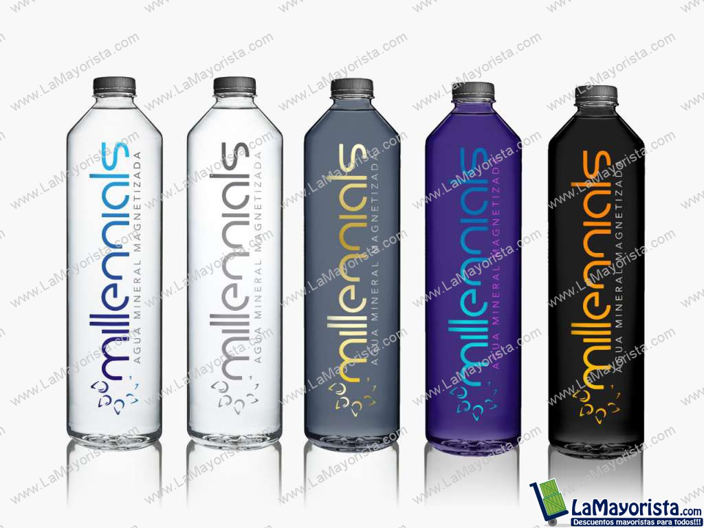 Agua mineral magnetizada litro x 24unid