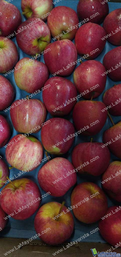 Manzana gala