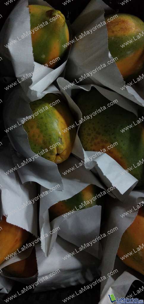 Papaya maradol