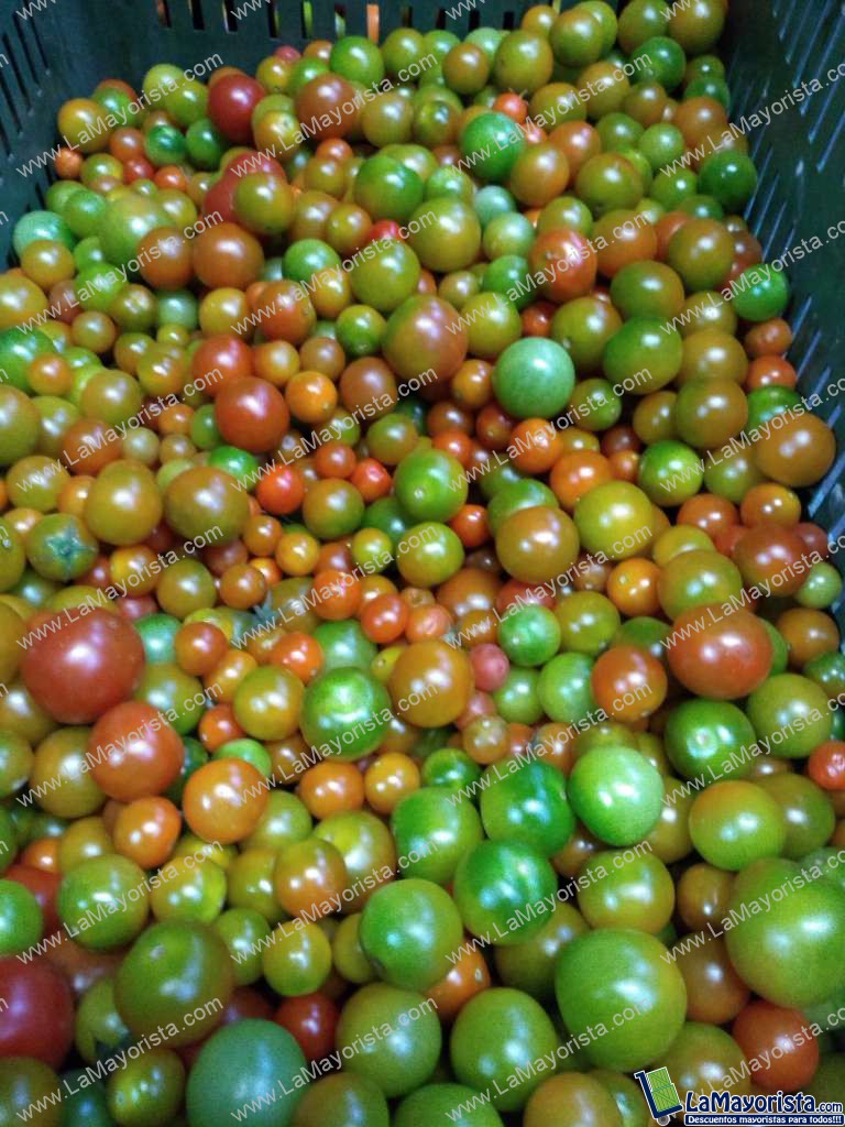 Tomate cherry