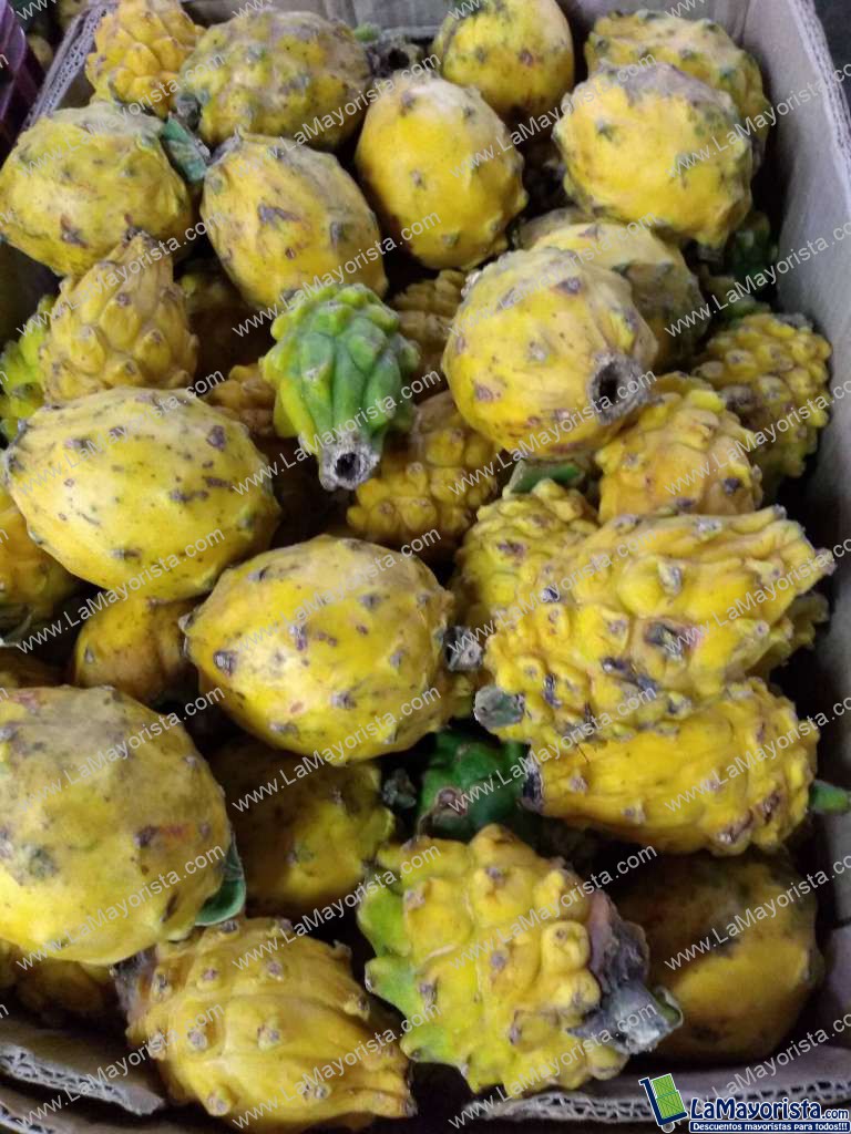 Pitaya