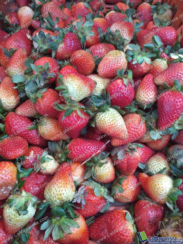 Fresas jumbo