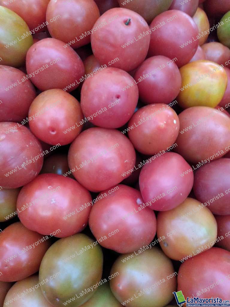 Tomate chonto