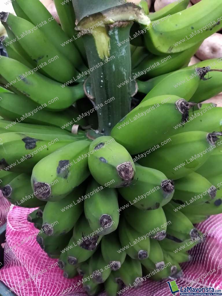 Guineo
