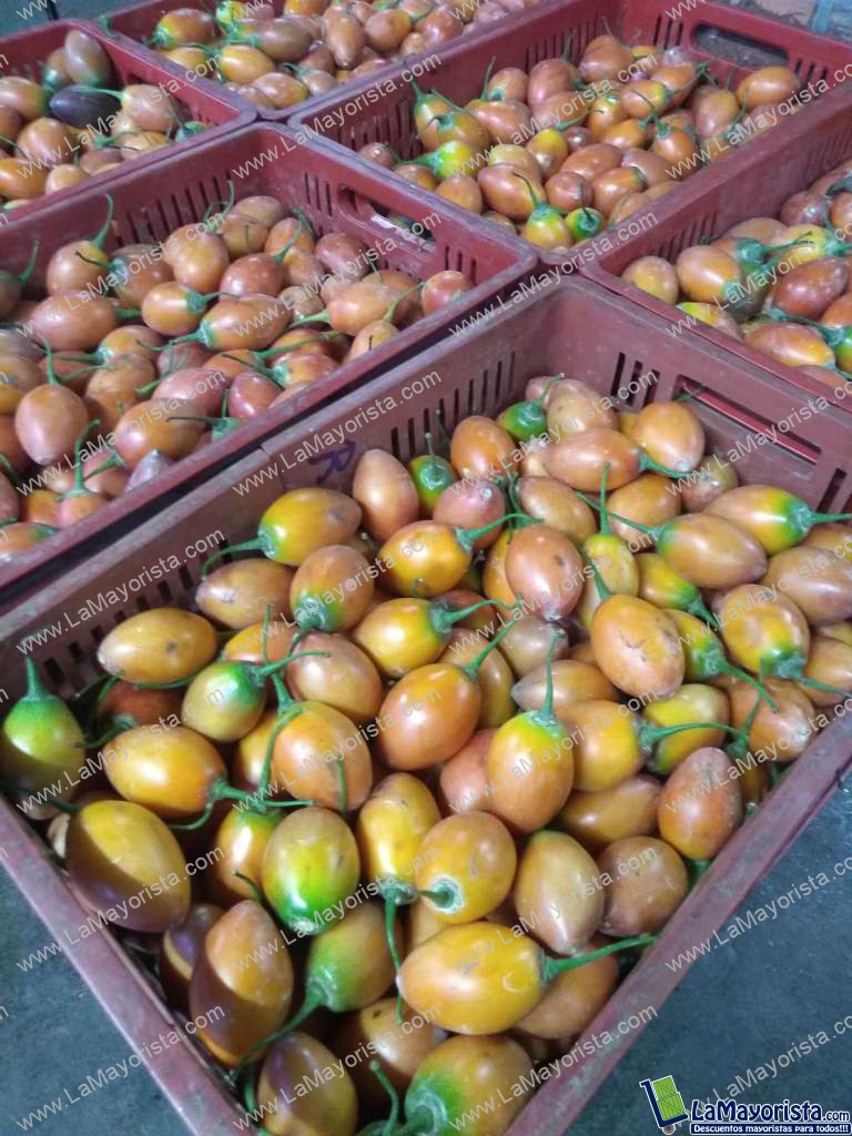 tomate de arbol