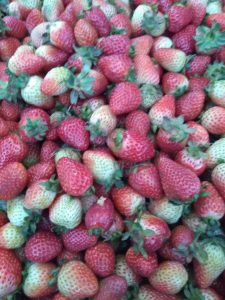 Fresas de 2da