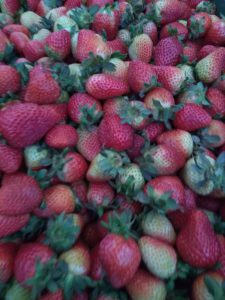 Fresas de 3ra