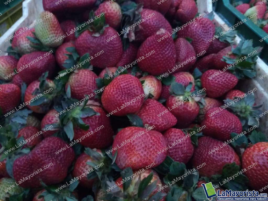 Fresas jumbo
