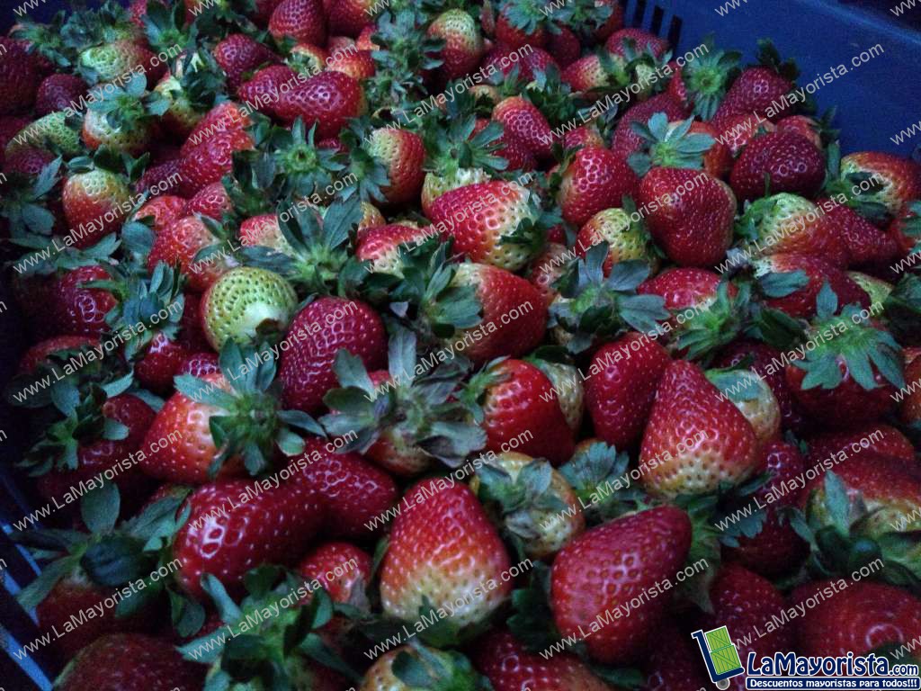 Fresas de 1ra