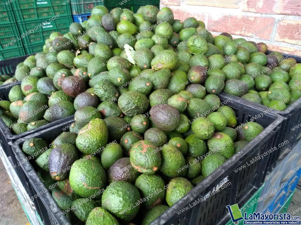aguacate hass