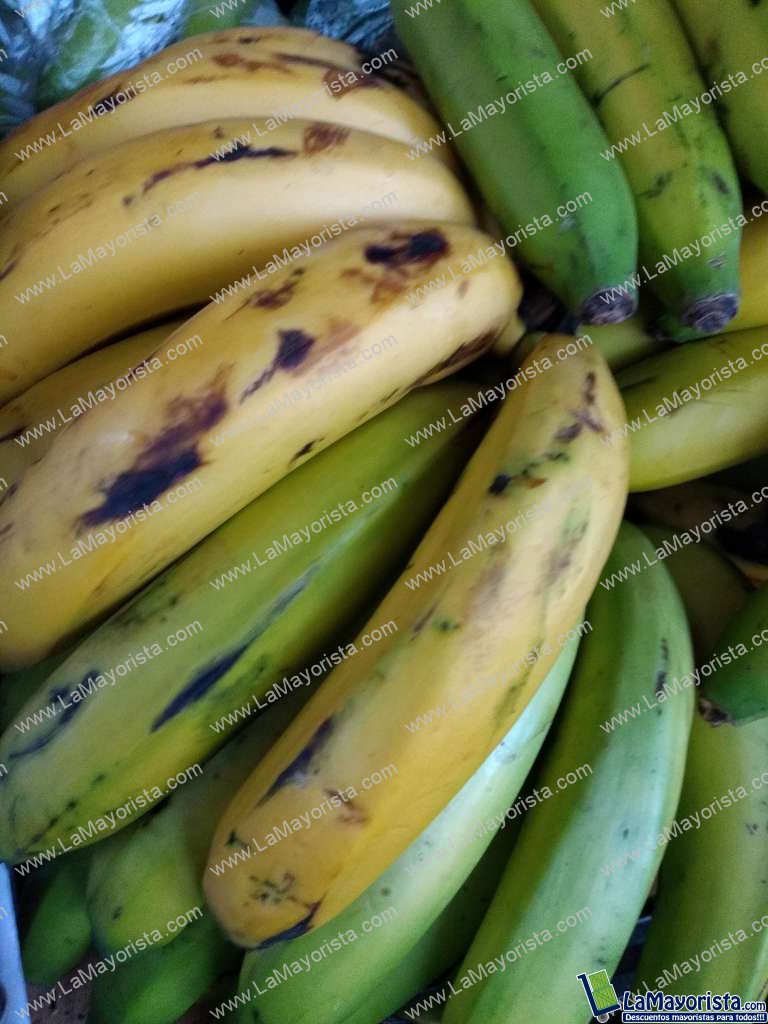 Banano criollo