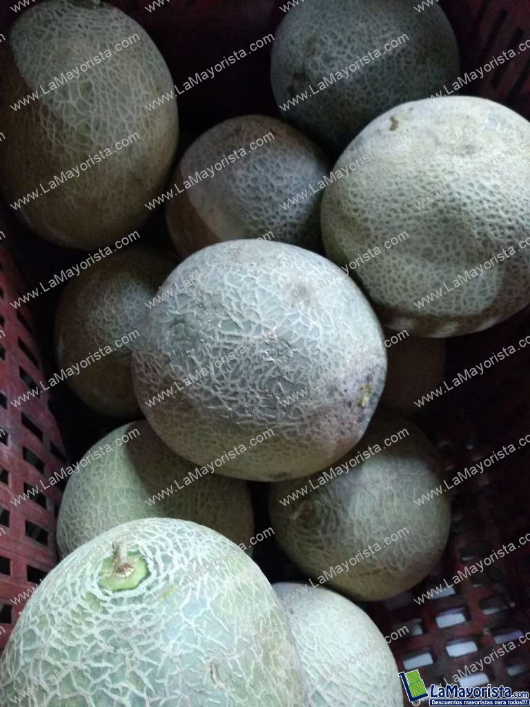 Melon