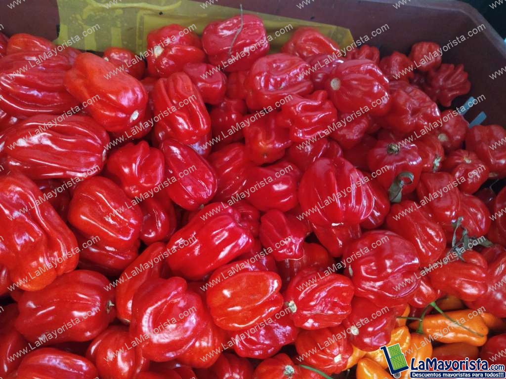 Aji habanero