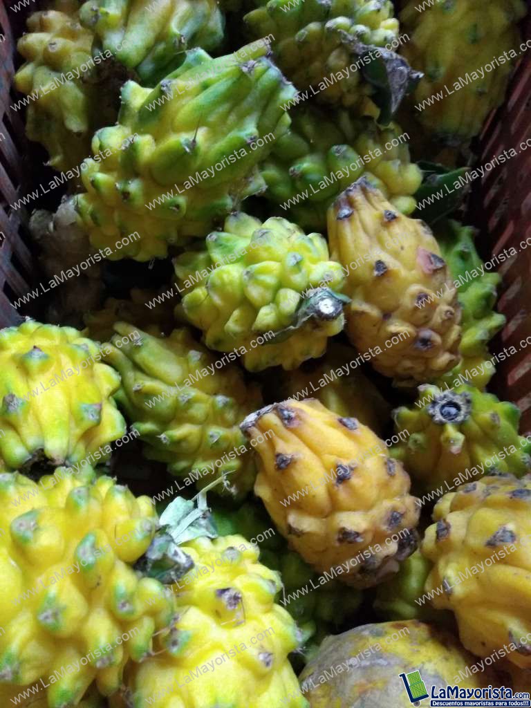 Pitaya