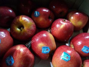 manzana gala 100