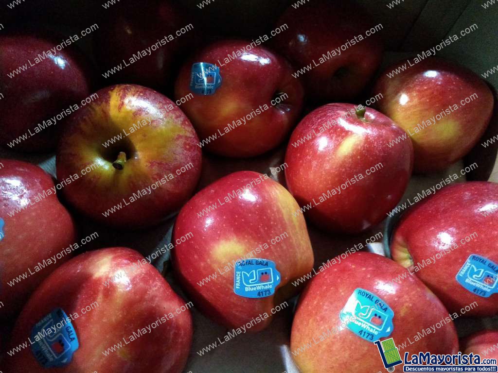 manzana gala 100