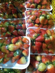 Fresas Jumbo