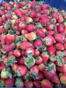 Fresas de Primera