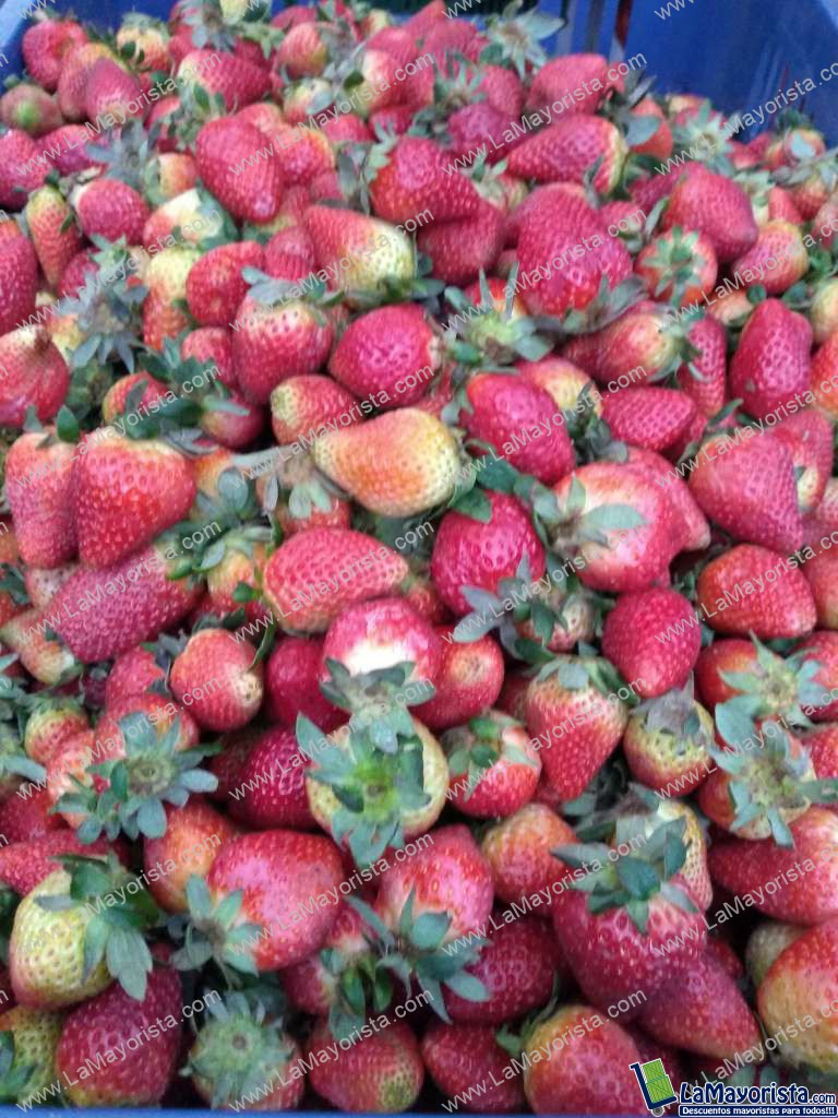 Fresas de Primera