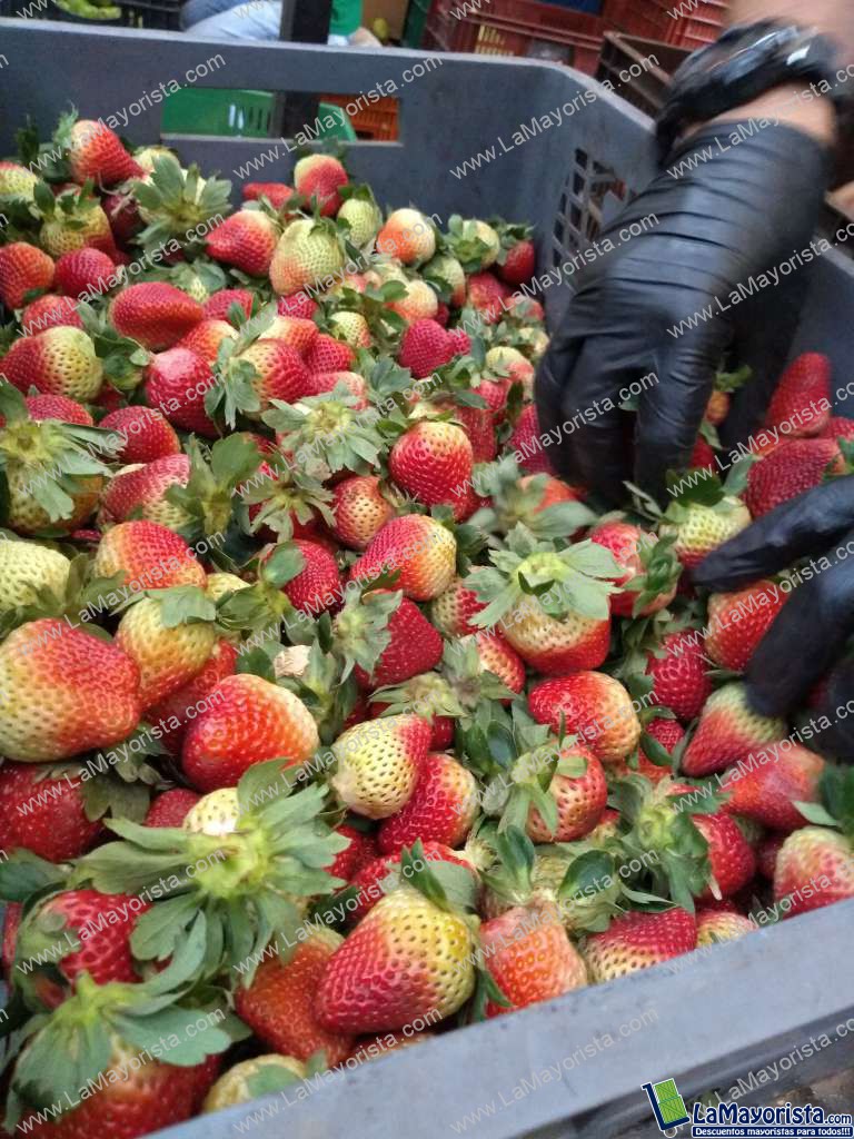 Fresas Jumbo