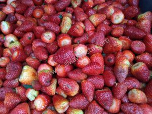 Fresas de 4ta