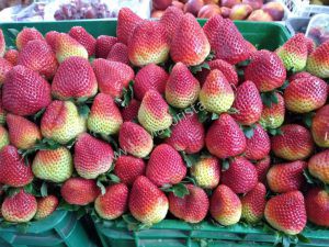 Fresas