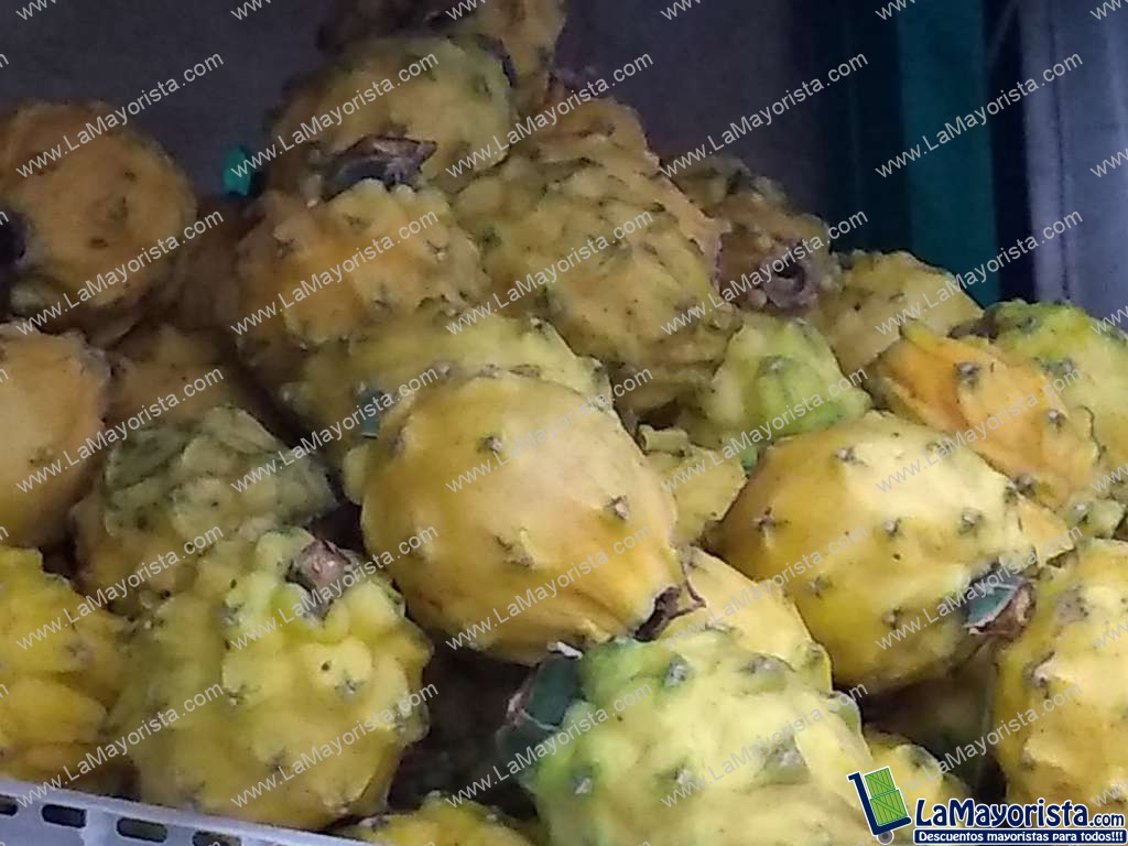 Pitaya