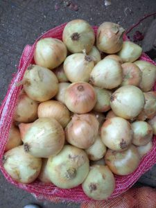 Cebolla blanca