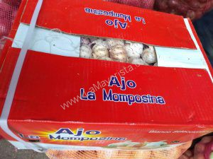 Ajo en malla