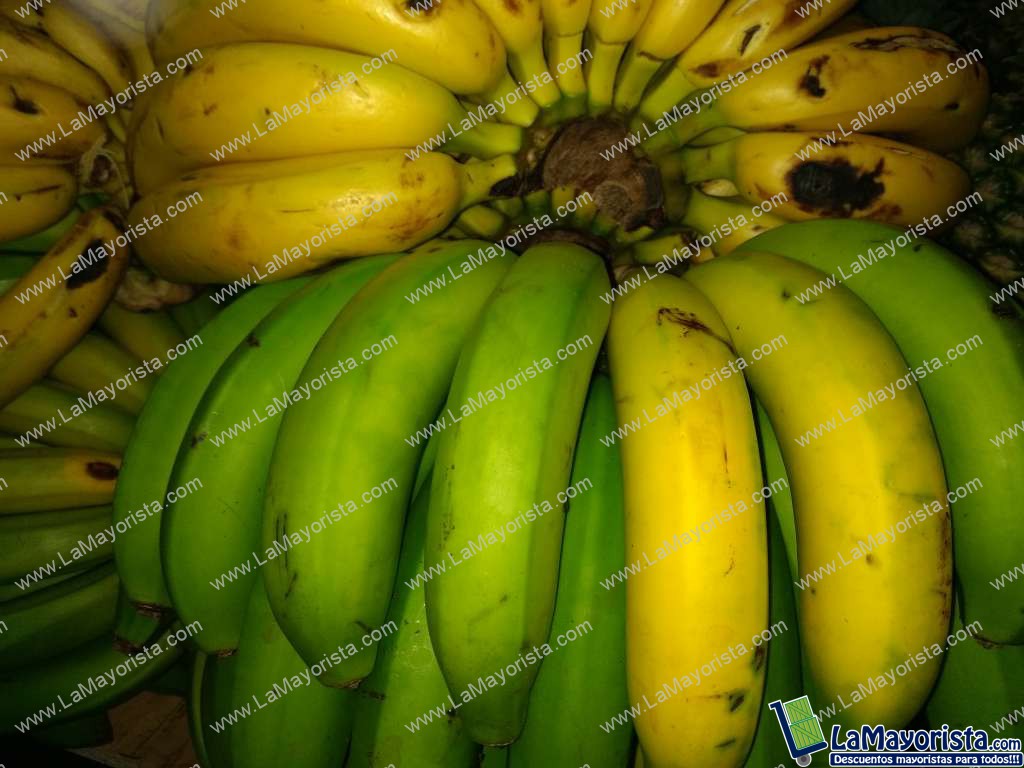 Banano criollo