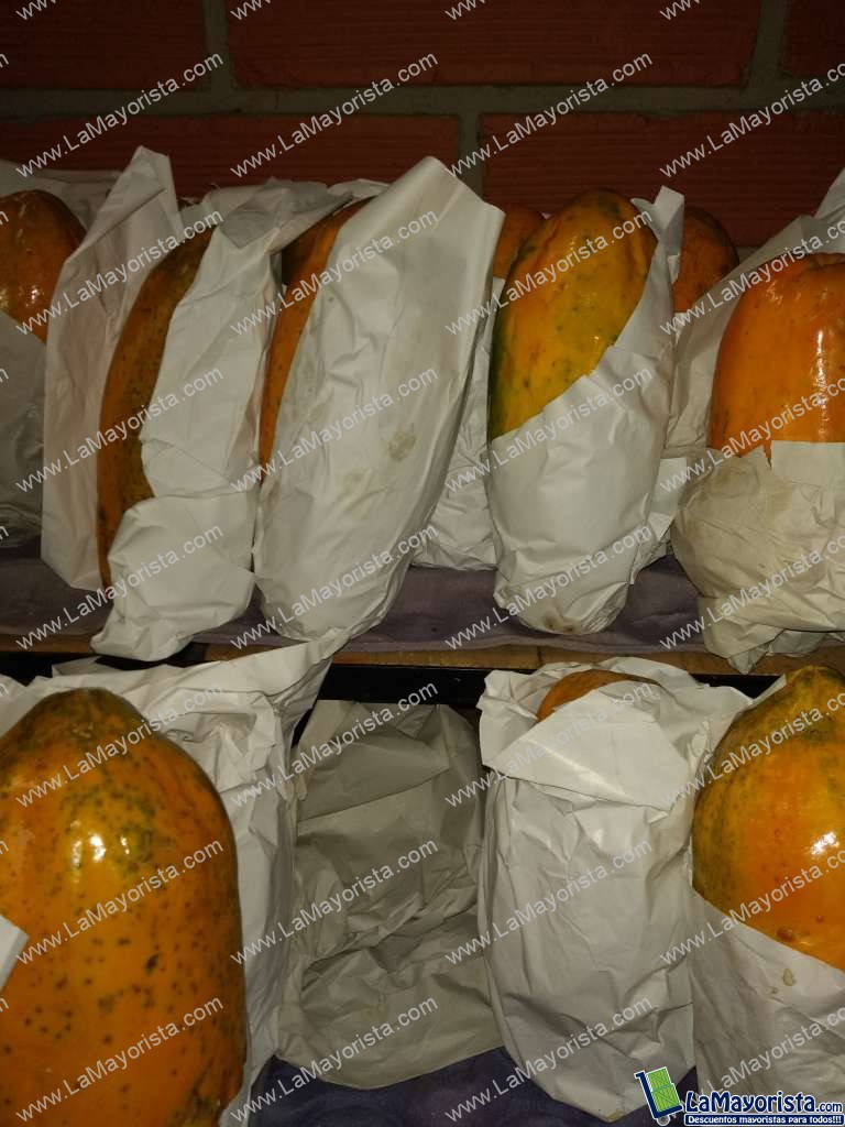 Papaya maradol