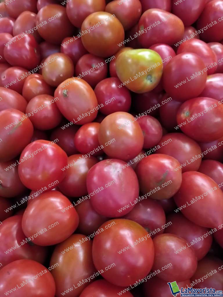 Tomate chonto