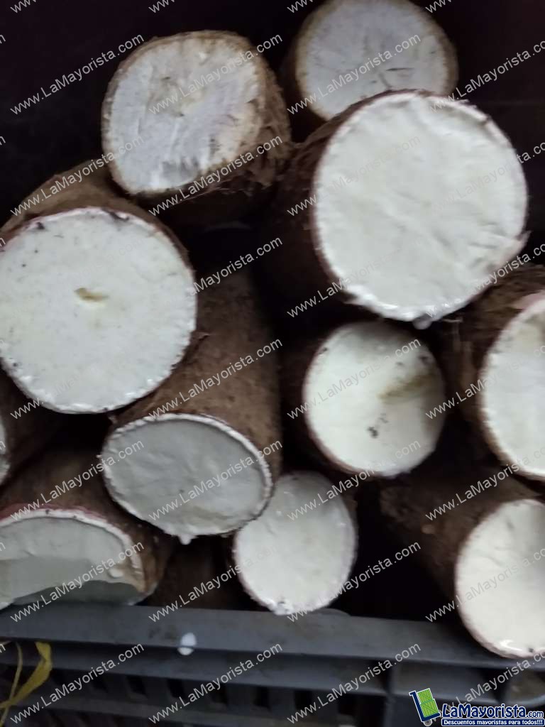 Yuca