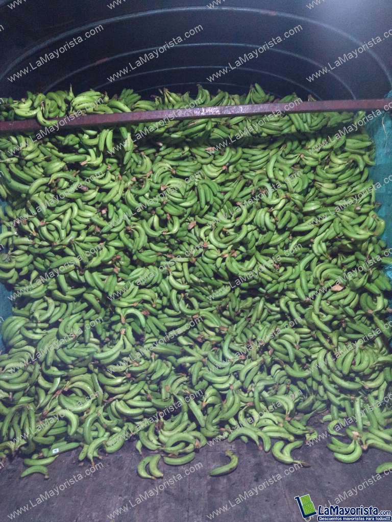 Guineo verde