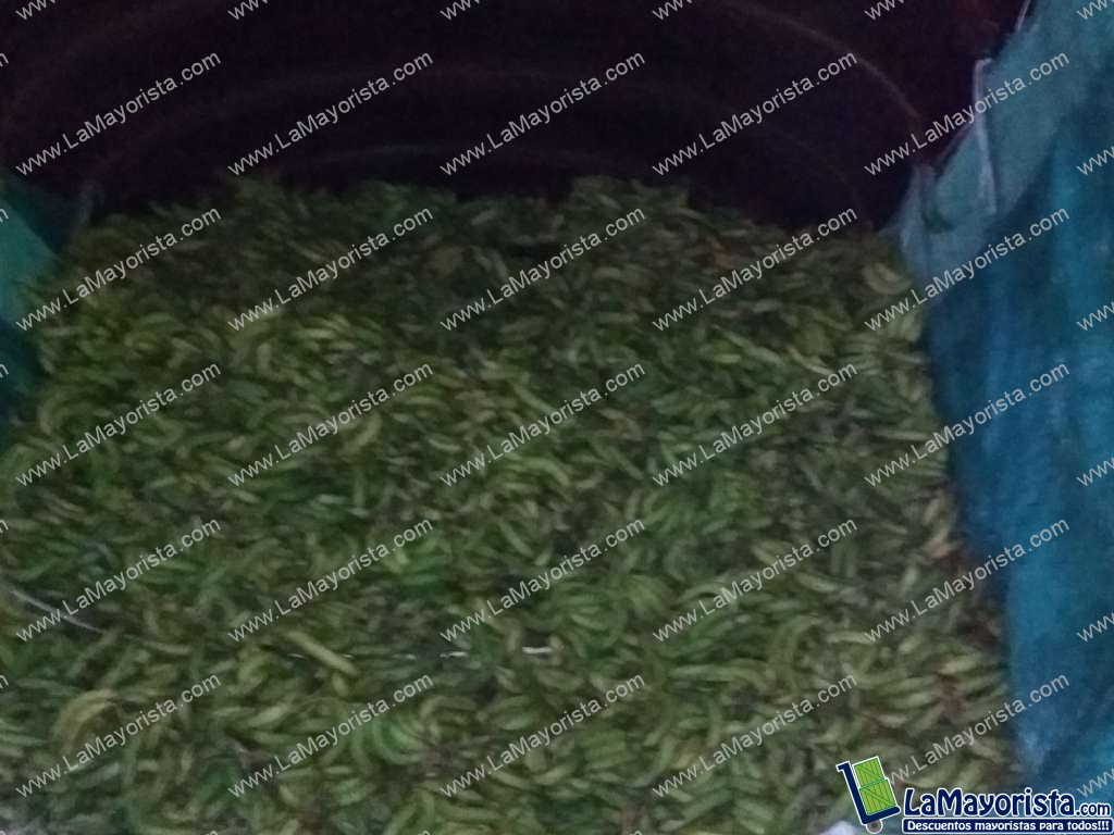 Guineo verde