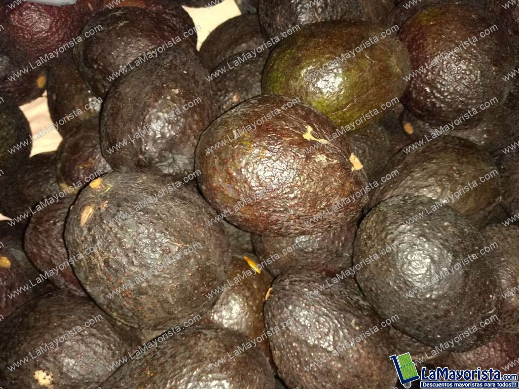 Aguacate Hass