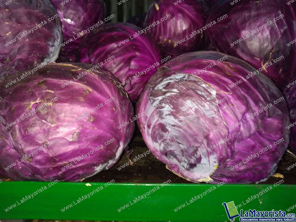 Repollo morado