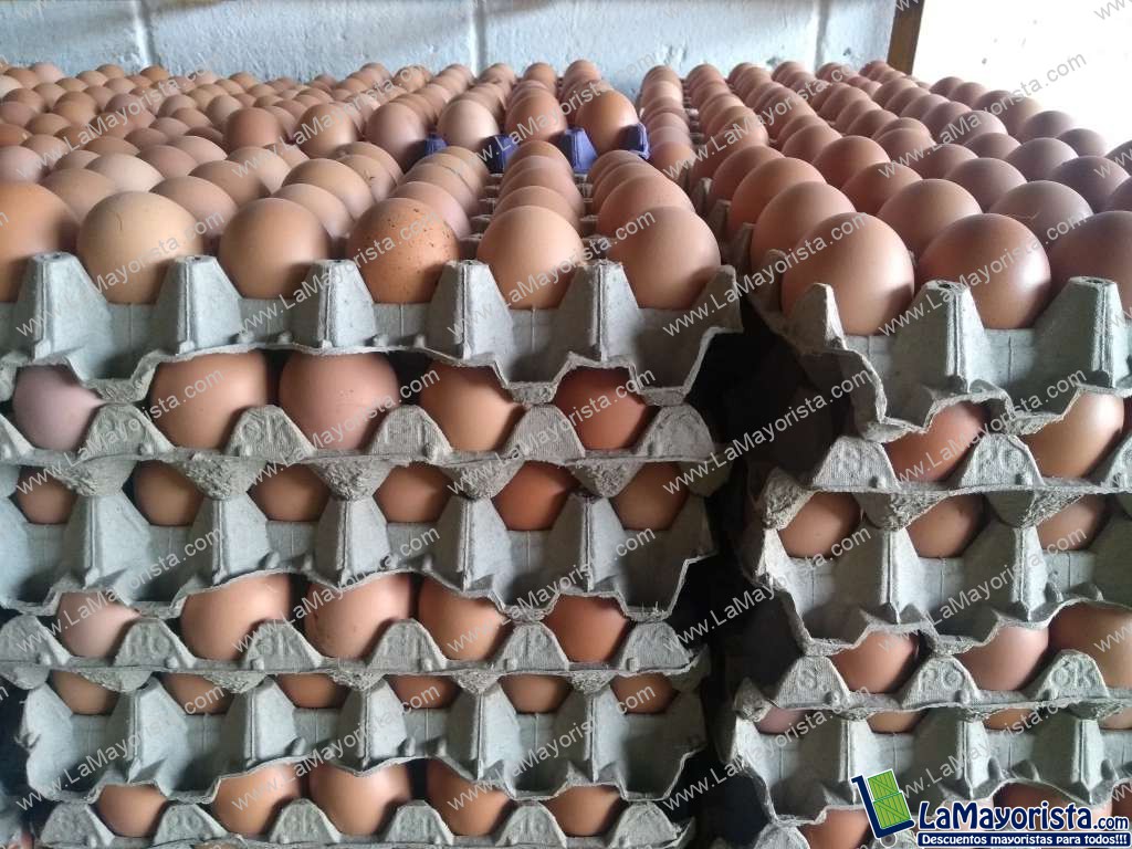 Huevos tipo AA
